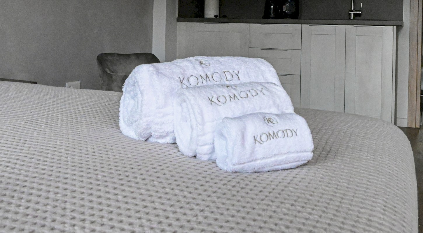 Standard Studio 25 m² kitchen area at Komody Apartments Delphi