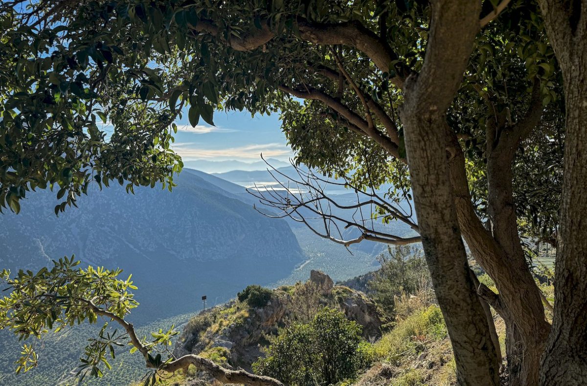 Komody Apartments - view from the balcony Delphi