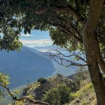 Komody Apartments - view from the balcony Delphi