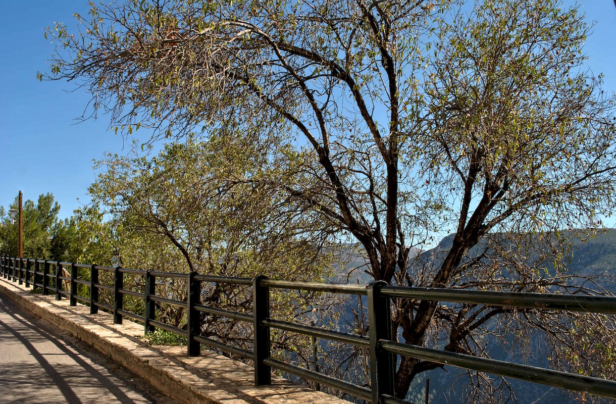 Komody Apartments - warm hospitality in Delphi Greece