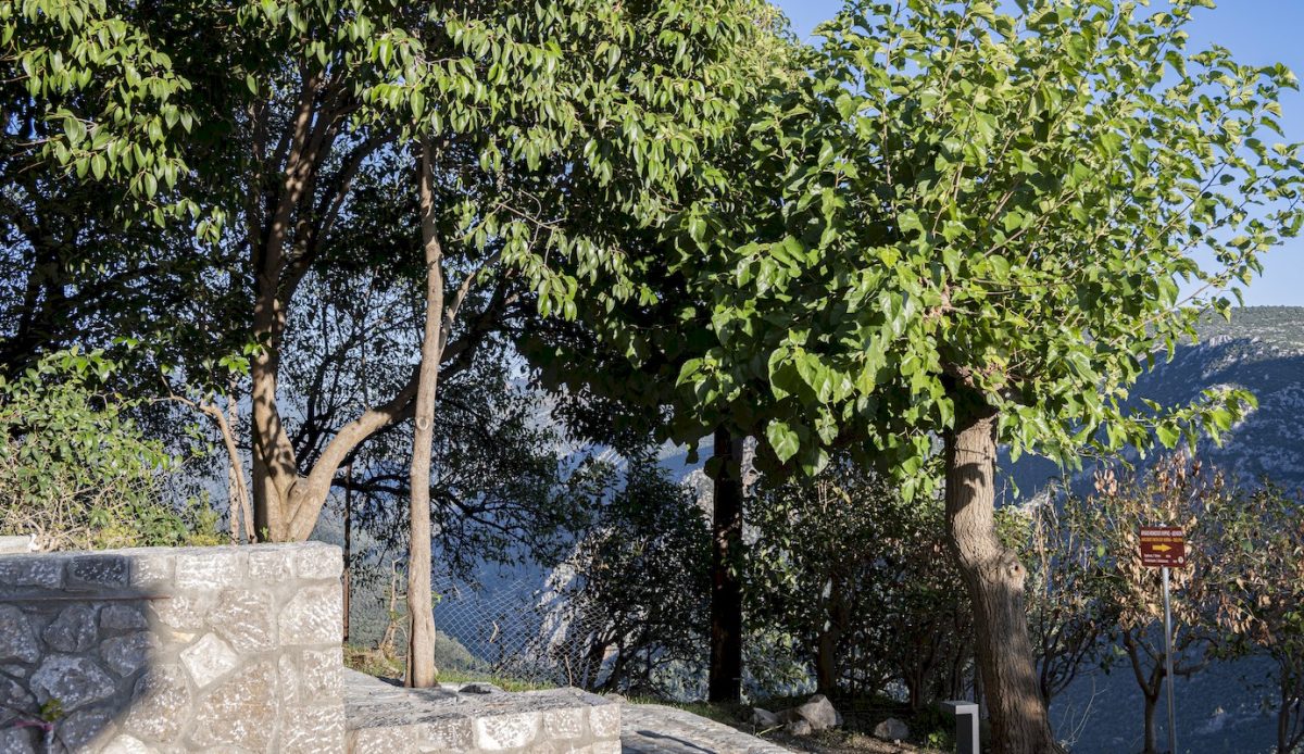 Komody Apartments Delphi - cosy room interior